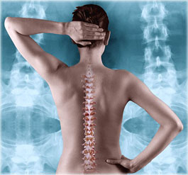 Clearwater FL chiropractor